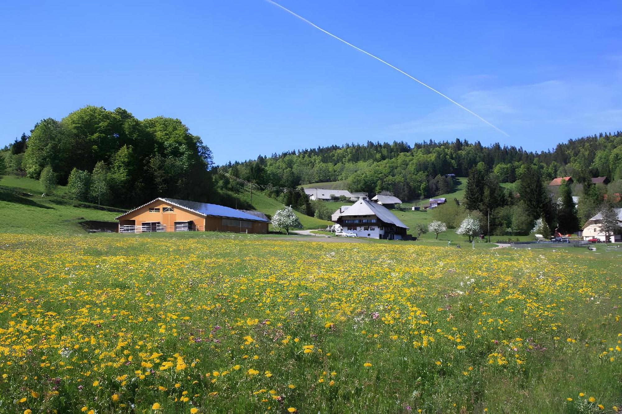 Buerschtehanse-Hof Ibach Екстер'єр фото